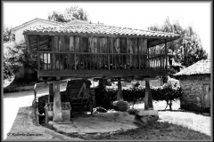 1_horreo-oviedo110711