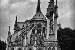 notre-dame_0