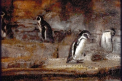 pinguinos