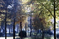 jardines_retiro