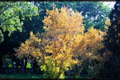 parque-del-oeste_0